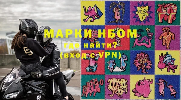 шишки Верхний Тагил