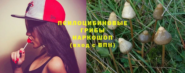 шишки Верхний Тагил