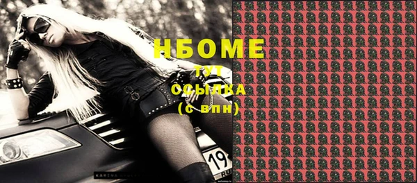 шишки Верхний Тагил