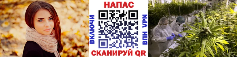 Бошки марихуана план  даркнет сайт  Лыткарино 